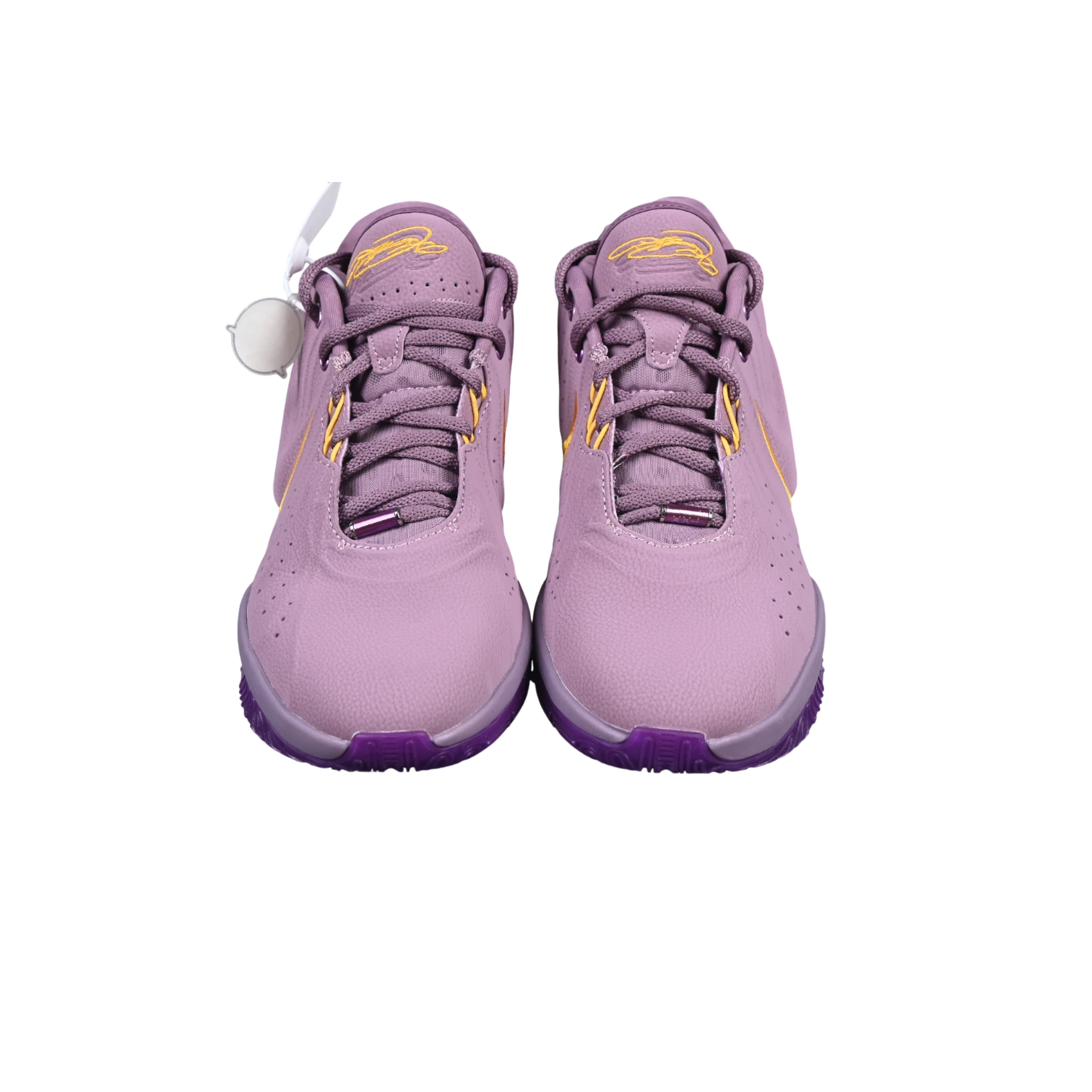 Nike lebron xxi basketball shoes
