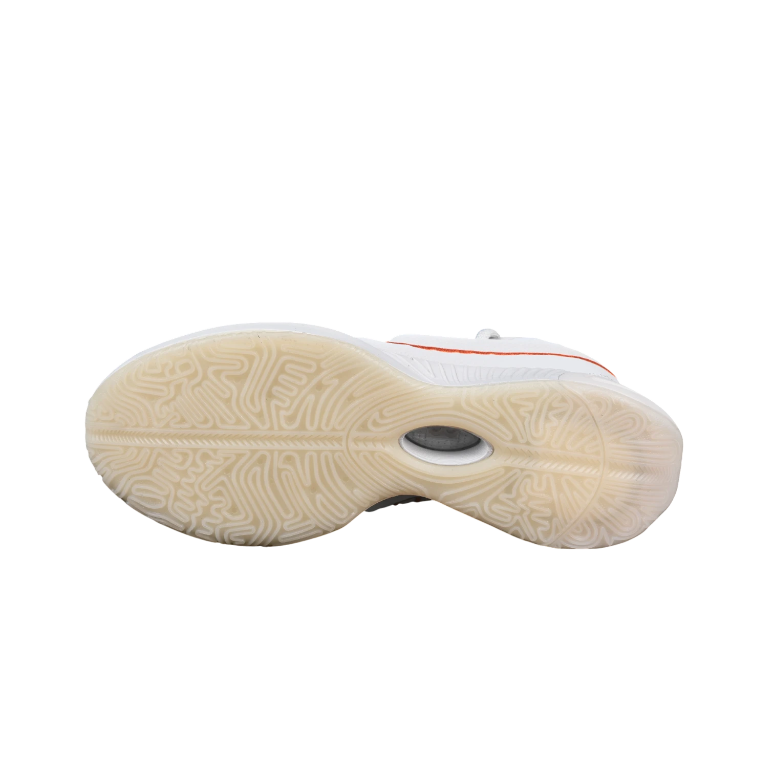 Nike lebron xxi basketball shoes