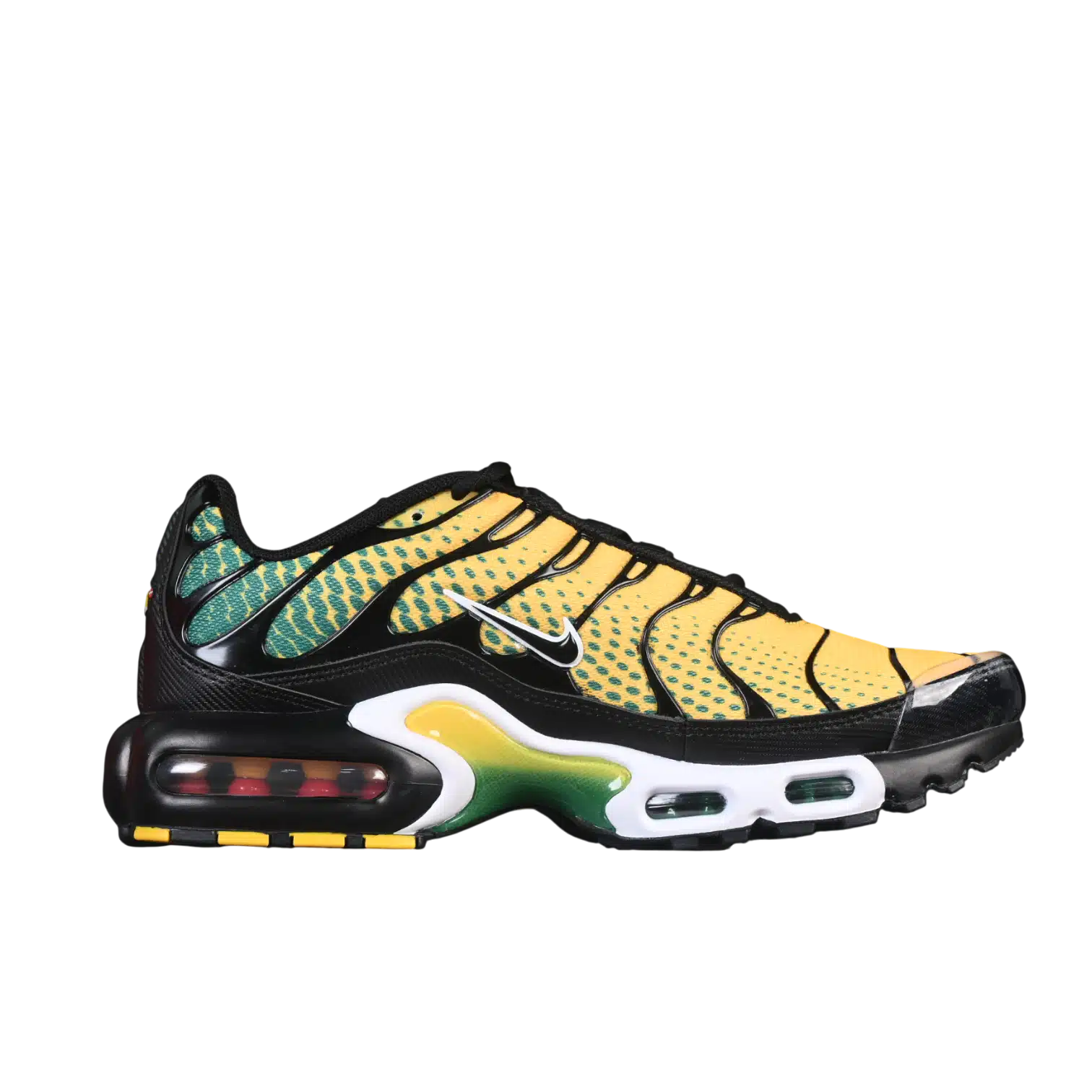 Nike air max plus anatomic shoes