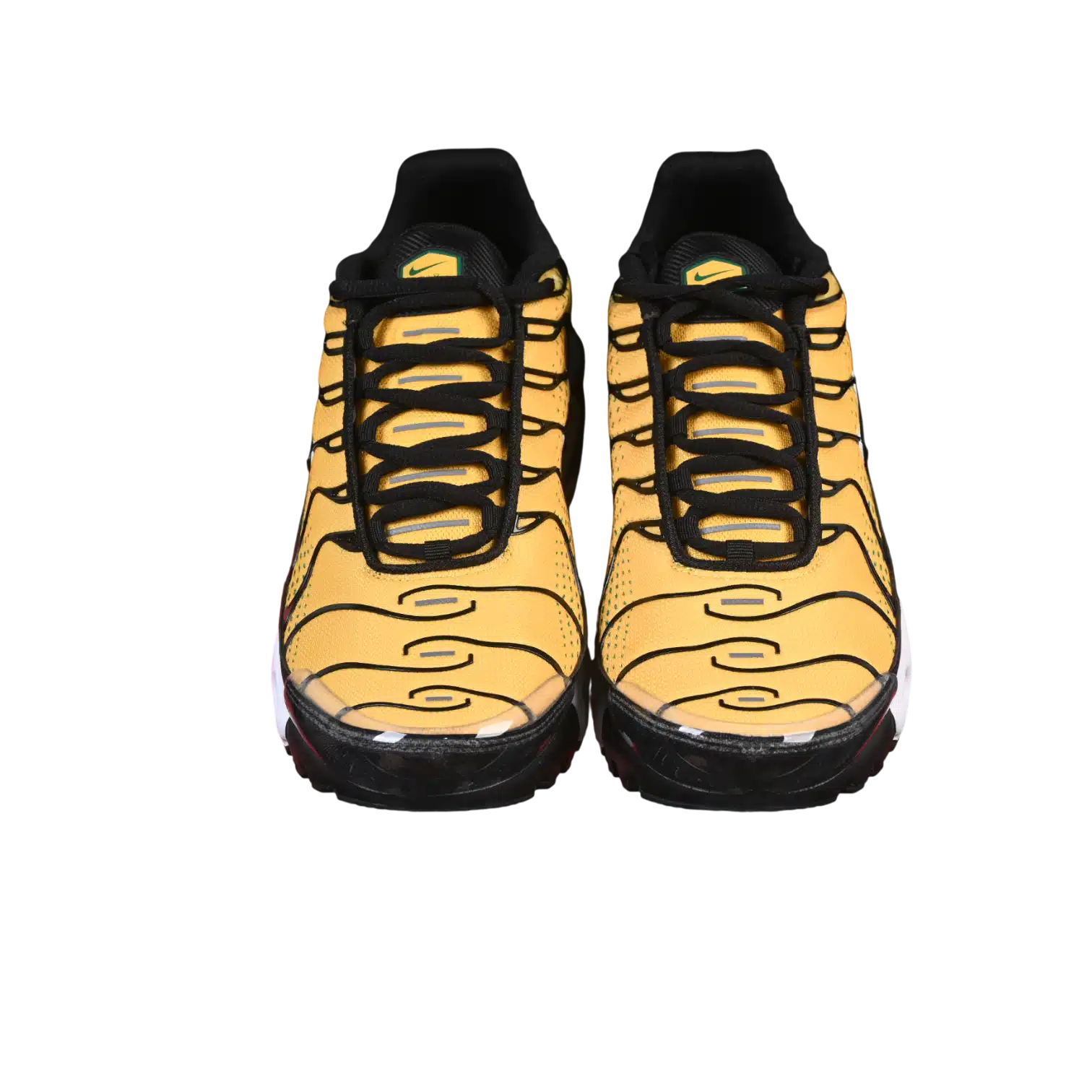 Nike air max plus anatomic shoes