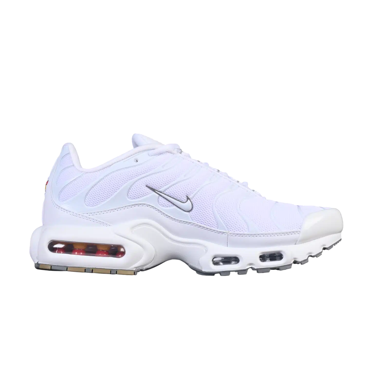 Nike air max plus anatomic shoes